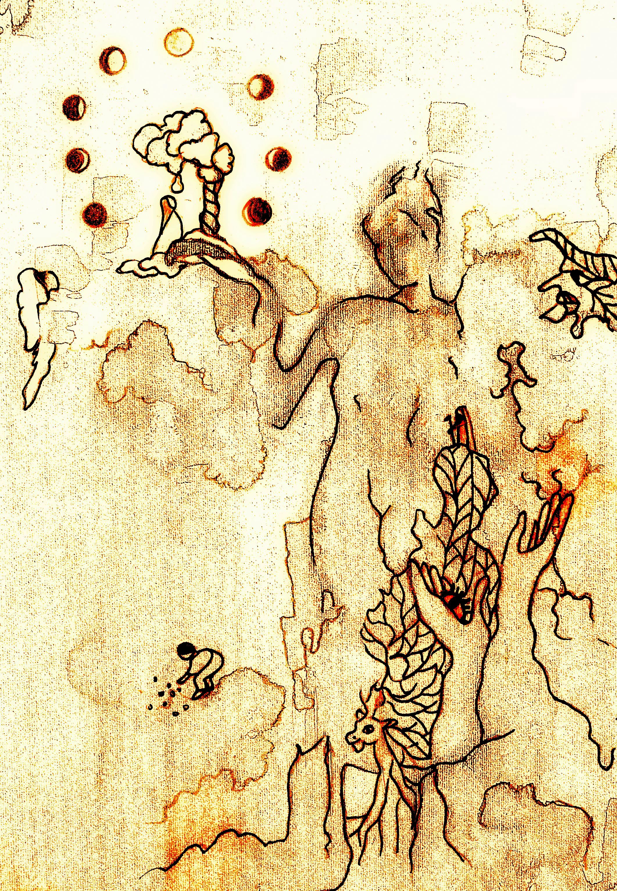 la fanciulla senza mani - 1 -