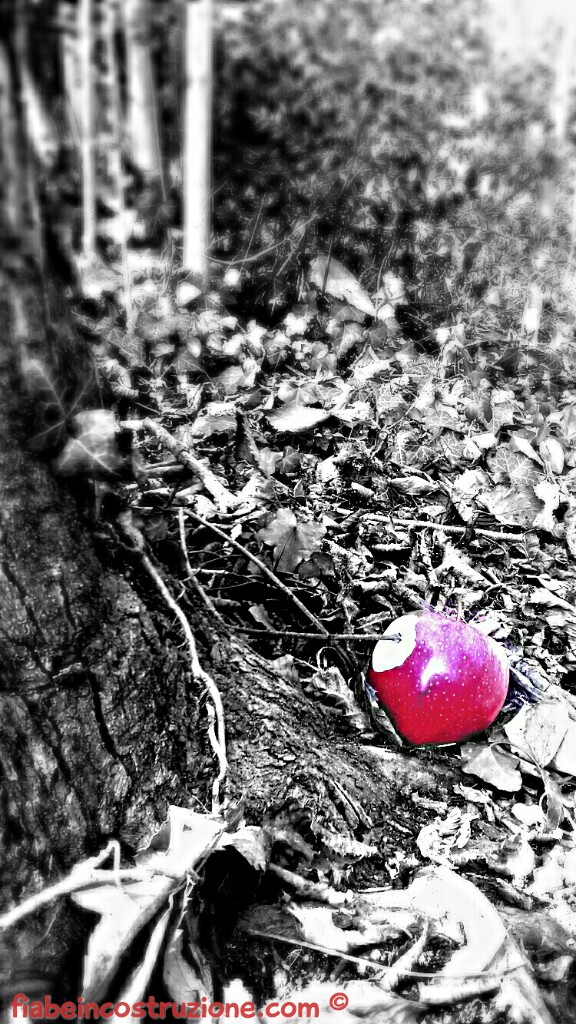 cpt_1517145006613scrivo_wm