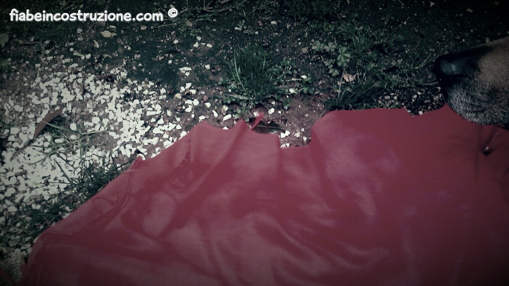 20180318_175720(3)scrivo_wm