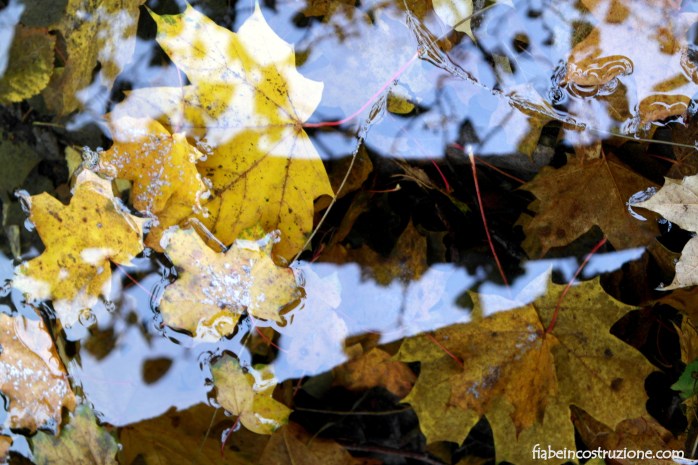 foglie.jpg