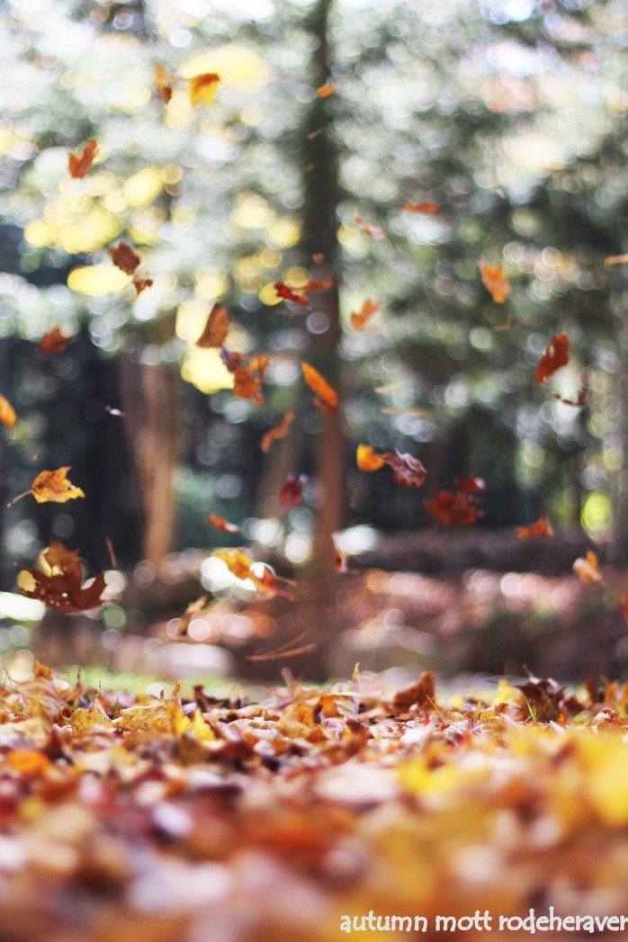 autumn-mott-rodeheaver-15013-unsplash.jpg