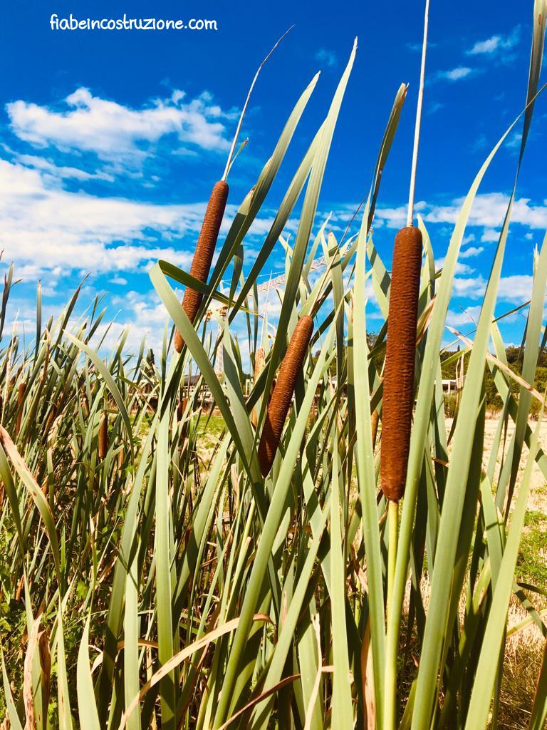 WhatsApp Image 2019-07-14 at 10.36.00.jpg