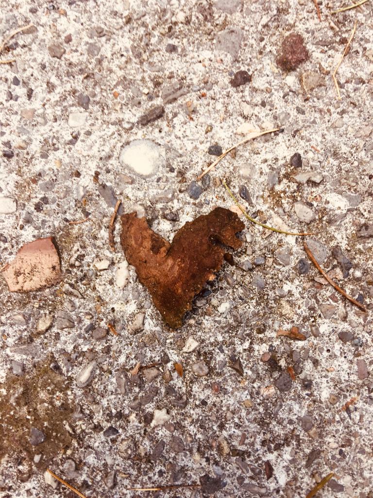 WhatsApp Image 2019-08-16 at 12.56.26