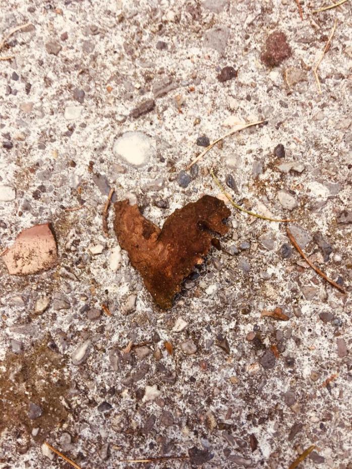 WhatsApp Image 2019-08-16 at 12.56.26