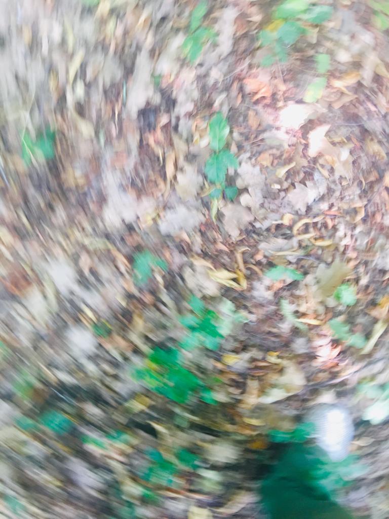 WhatsApp Image 2019-08-20 at 09.10.09.jpeg