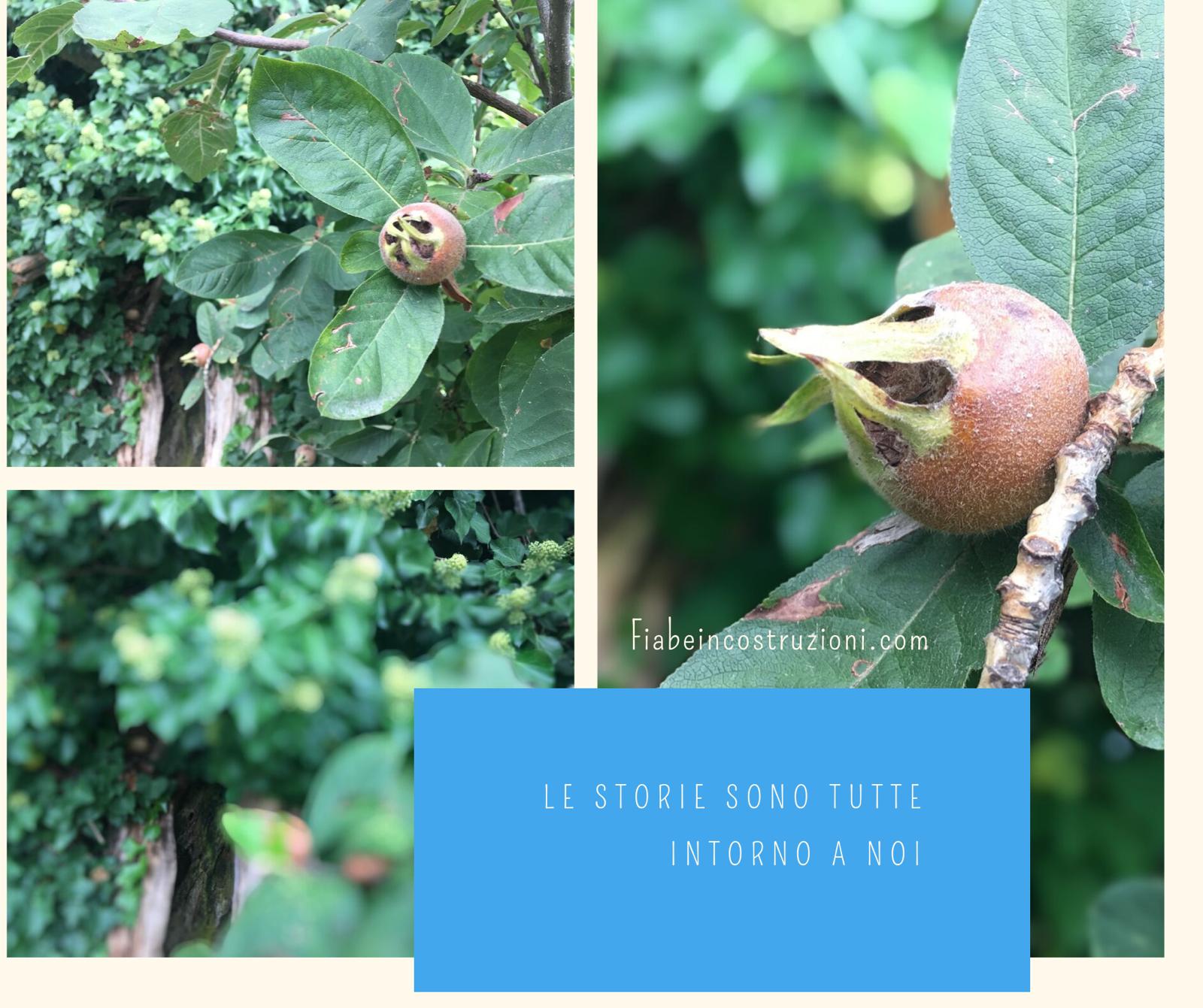 WhatsApp Image 2019-09-15 at 14.49.07