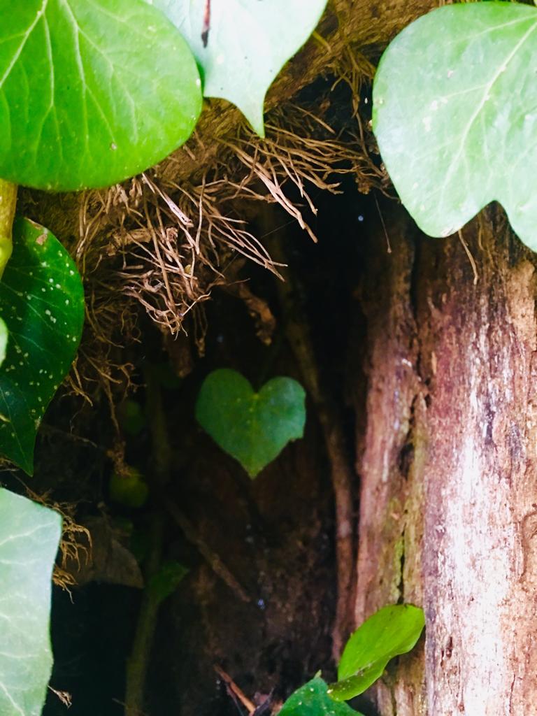 WhatsApp Image 2019-10-09 at 10.29.53