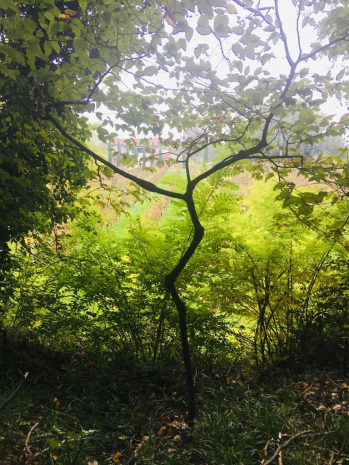 WhatsApp Image 2019-10-20 at 13.03.02