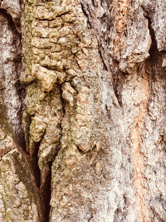 WhatsApp Image 2020-01-04 at 16.51.59