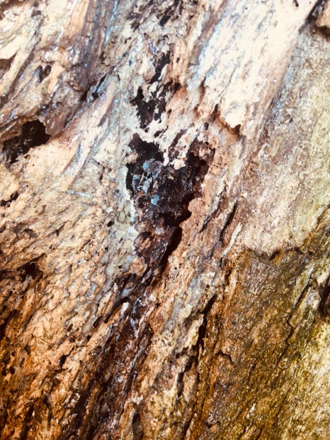 WhatsApp Image 2020-02-08 at 17.48.23