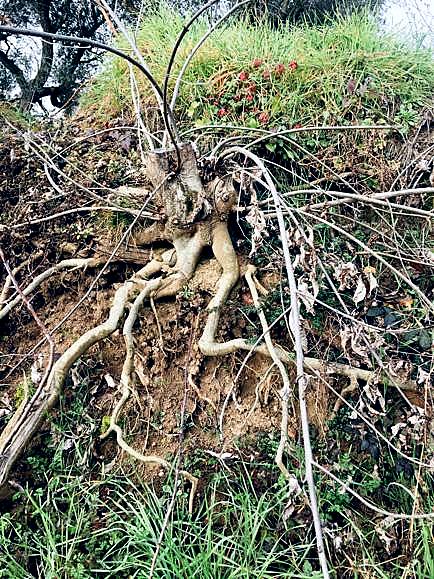 WhatsApp Image 2020-02-08 at 17.50.39