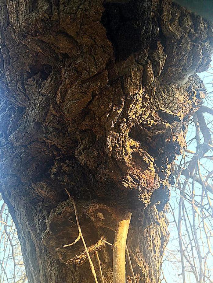 WhatsApp Image 2020-02-15 at 21.24.53