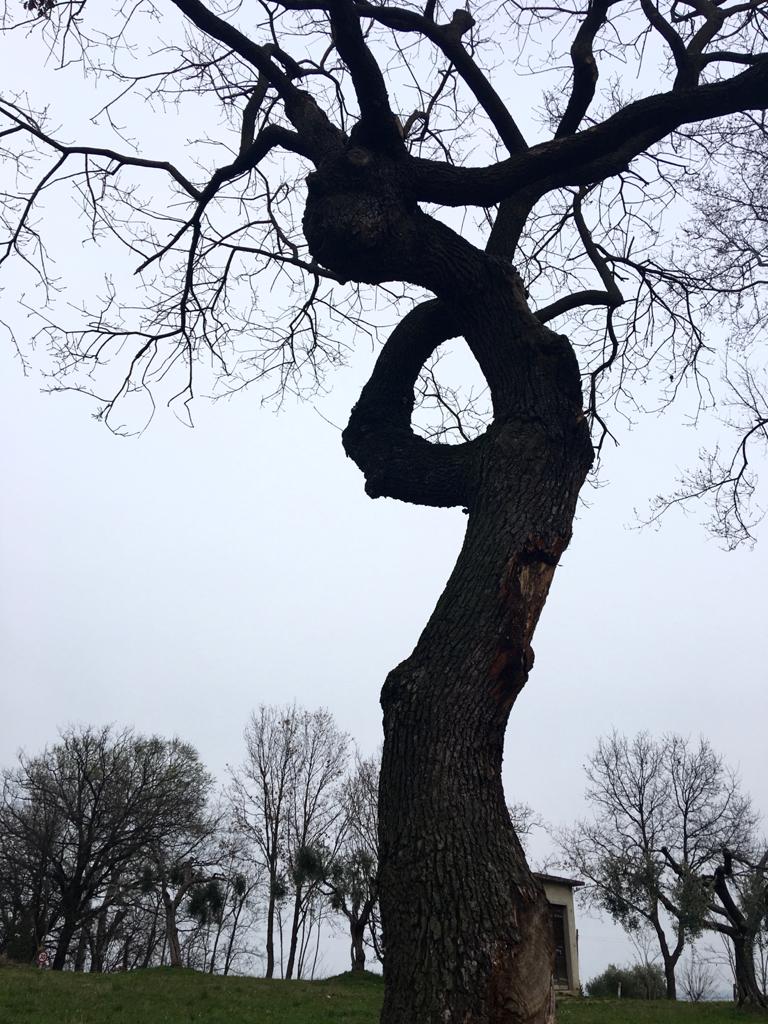 WhatsApp Image 2020-04-26 at 15.51.39