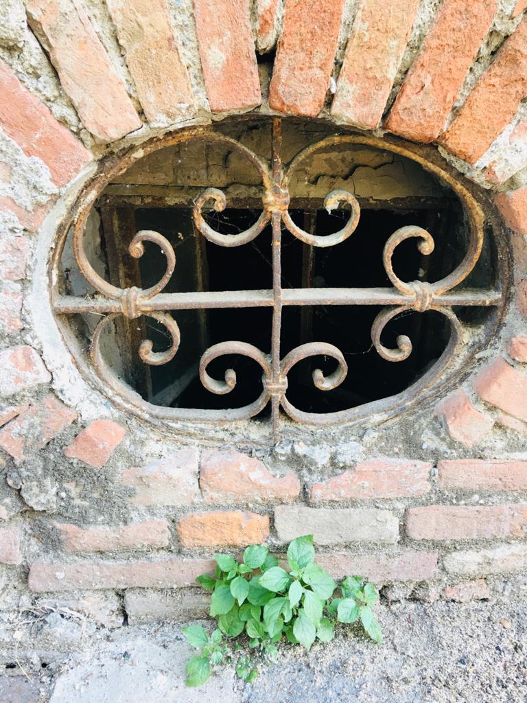 WhatsApp Image 2020-05-09 at 14.19.09