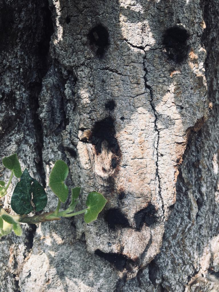 WhatsApp Image 2020-05-24 at 13.26.47